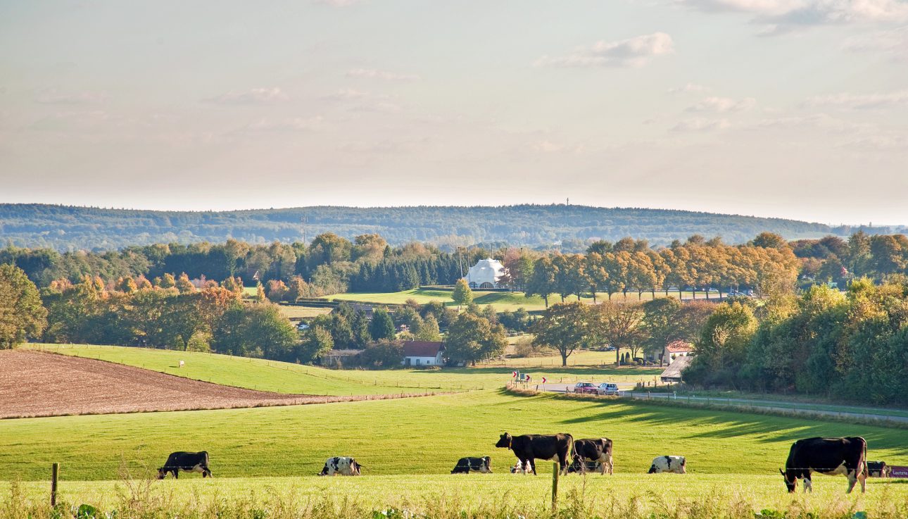 gelderland - maas en waal