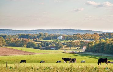 gelderland - maas en waal