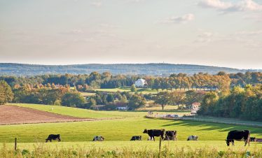 gelderland - maas en waal