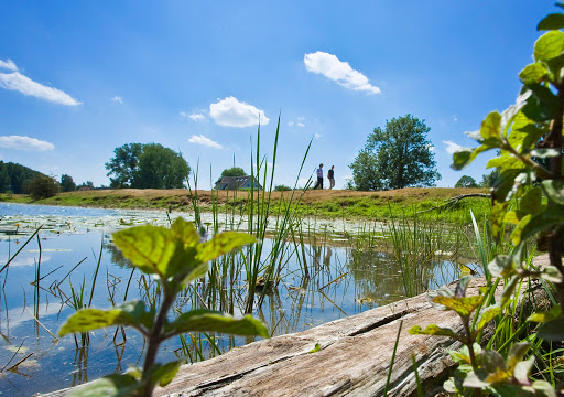 gelderland - maas en waal