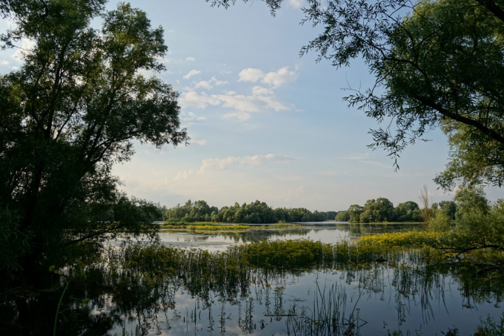 gelderland - maas en waal