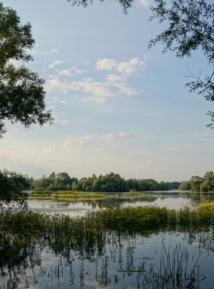 gelderland - maas en waal