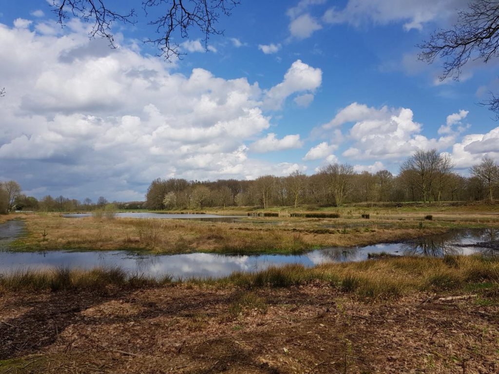 pieterpad-5-wandelvakantie-limburg-fenzopreis