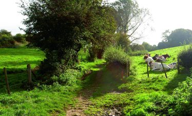 wandelreis-pieterpad-afferden-roermond