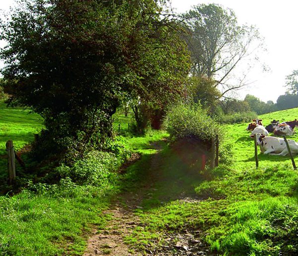 wandelreis-pieterpad-afferden-roermond