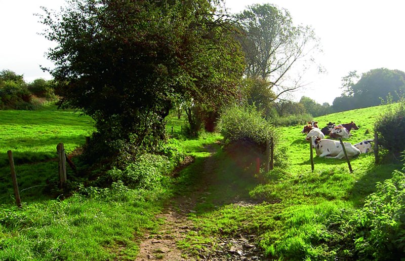 wandelreis-pieterpad-afferden-roermond