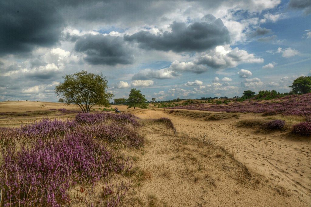 pieterpad deel 2-dwingelderveld-fenzopreis-wandelvakantie