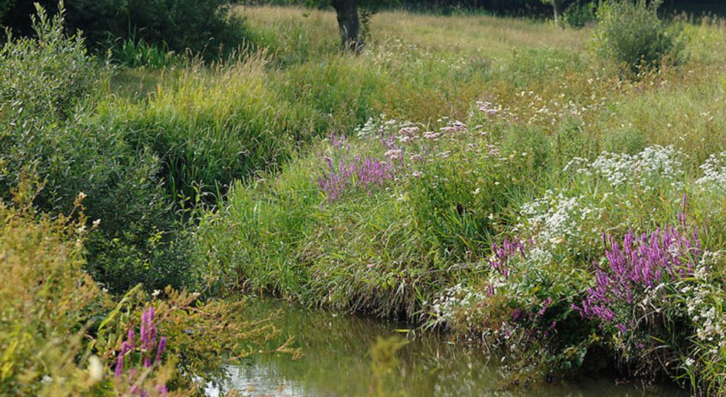 pieterpad-deel-2-wandelvakantie-fenzopreis-drentse-aa