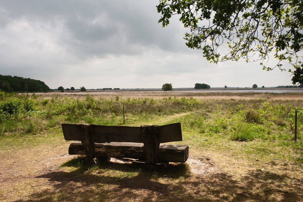 pieterpad-wandelvakantie-drenthe-dwingelderveld-fenzopreis