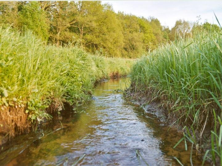 pieterpad-wandelvakantie-drenthe-fenzopreis