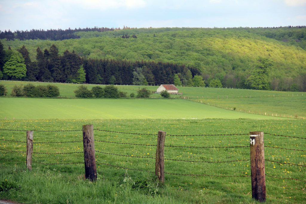 teutoburgerwald_03