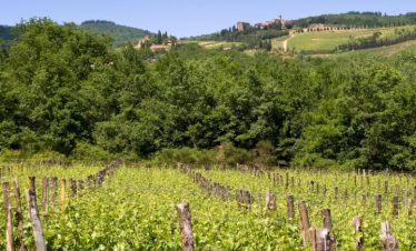 fietsvakantie toscane