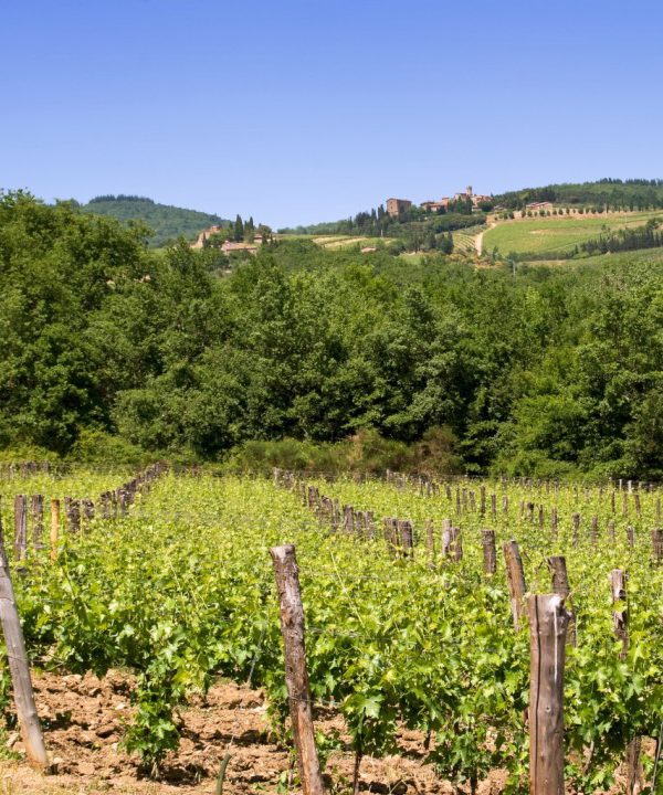 fietsvakantie toscane