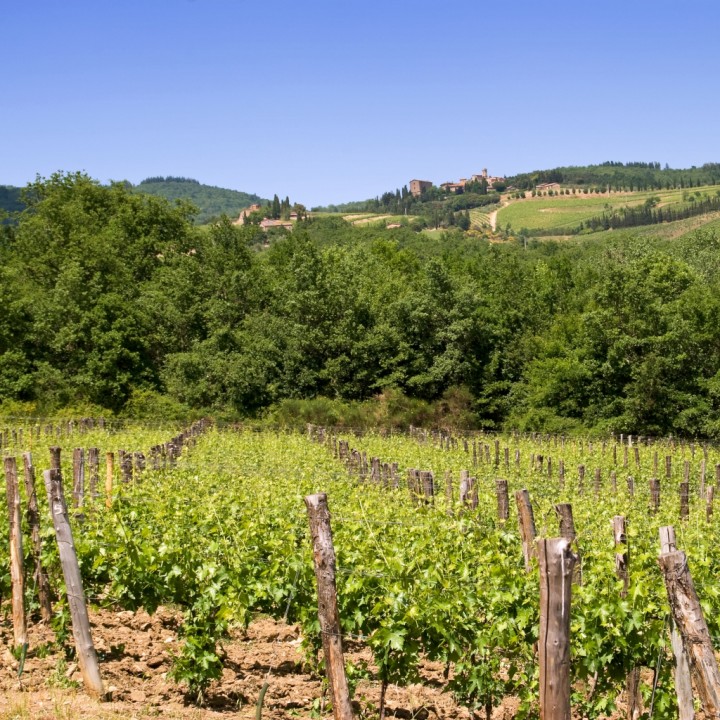 fietsvakantie toscane