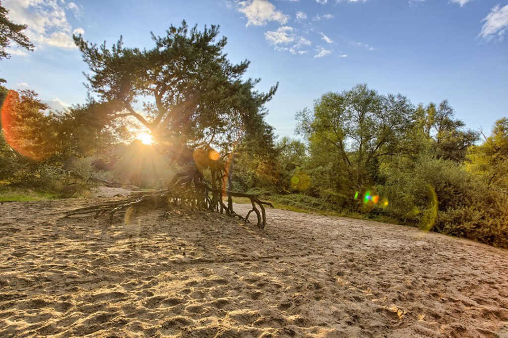 wandelreis-fenz-op-reis-lutte-twente