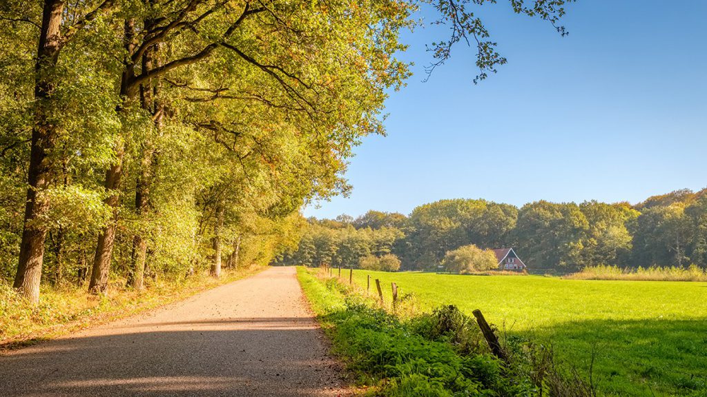 wandelvakantie-de-tankenberg-fenz-op-reis-zwerftochten