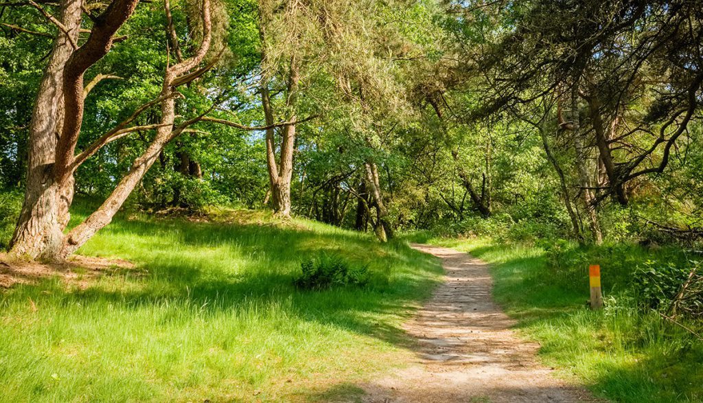 wandelvakantie-lutterzand-fenzopreis-lutte-zwerftochten