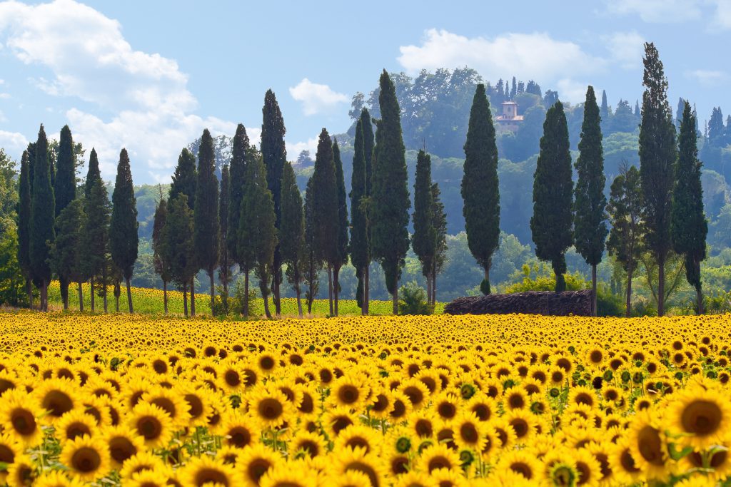 fietsvakantie toscane