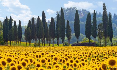 fietsvakantie toscane