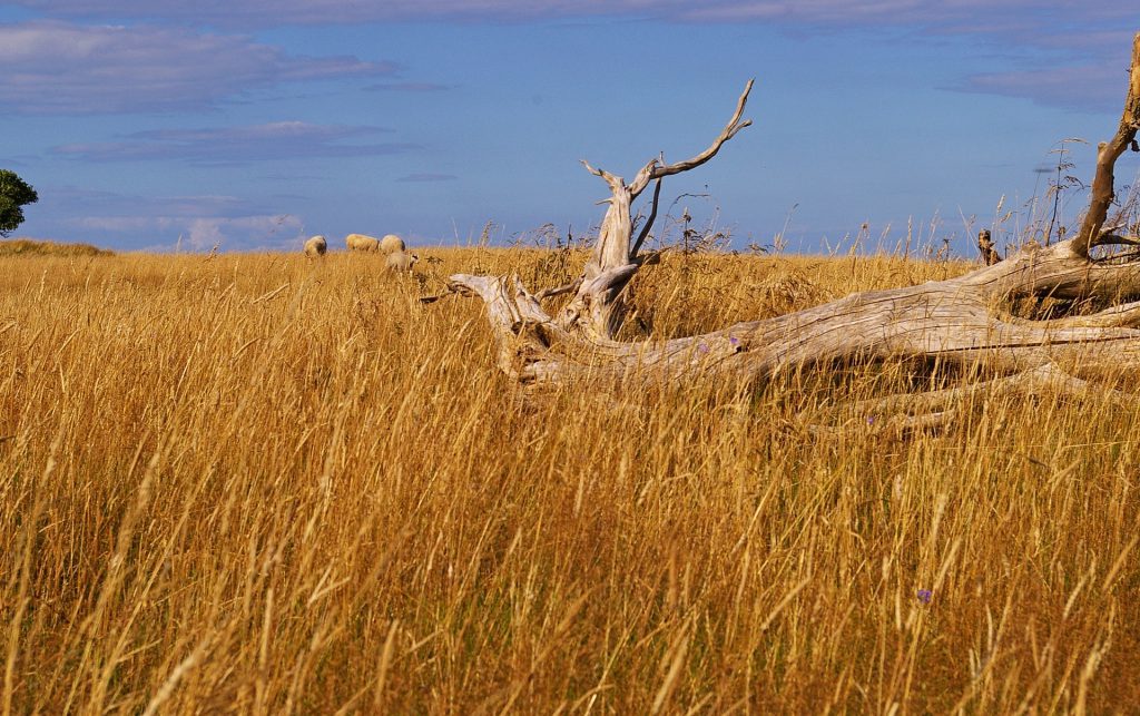 eilandhoppen_denemarken_Funen_Ærø_fietsvakantie_fenzopreis_05_