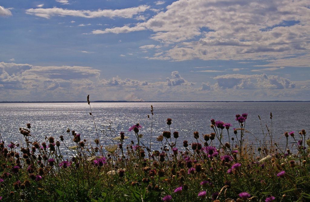 eilandhoppen_denemarken_Funen_Ærø_fietsvakantie_fenzopreis_06_