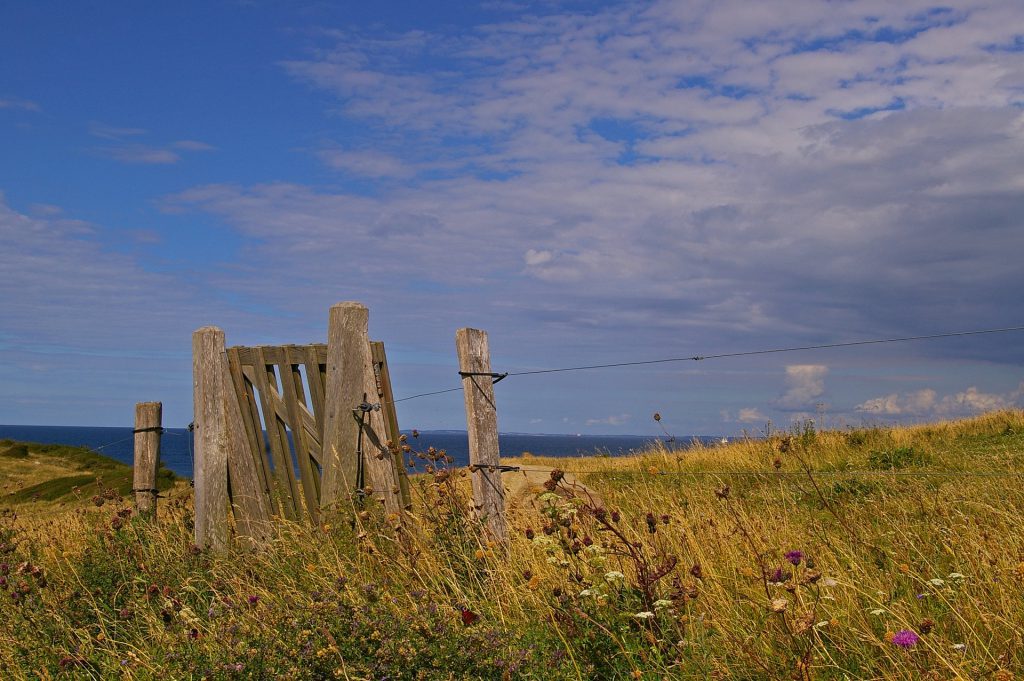 eilandhoppen_denemarken_Funen_Ærø_fietsvakantie_fenzopreis_07_