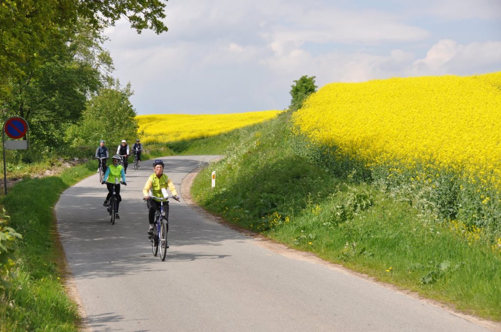 eilandhoppen_denemarken_Funen_Ærø_fietsvakantie_fenzopreis_14_