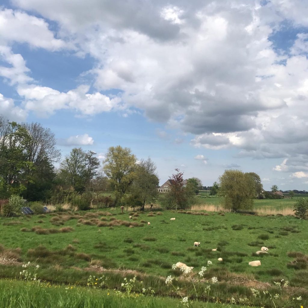 fietsvakantie-weerribben-blokzijl