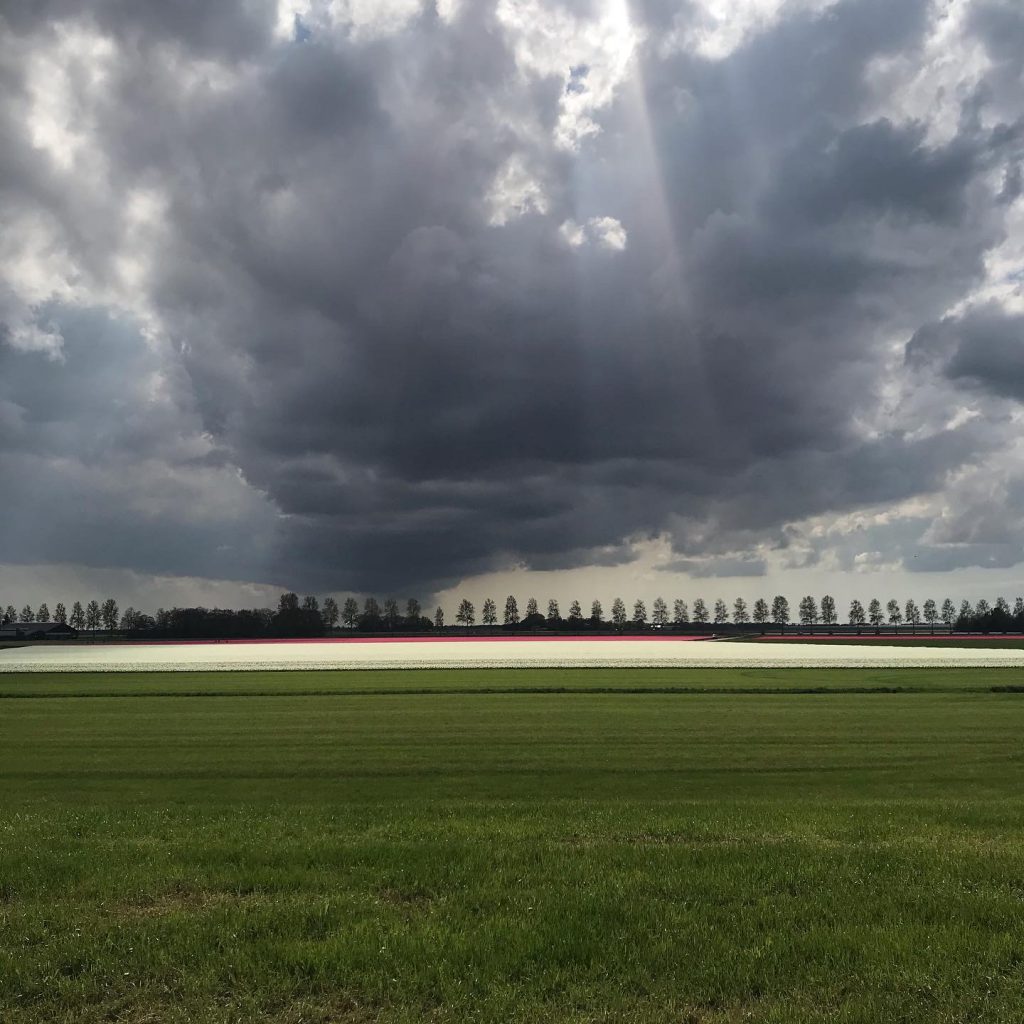 fietsvakantie-weerribben-flevopolder-fenzopreis