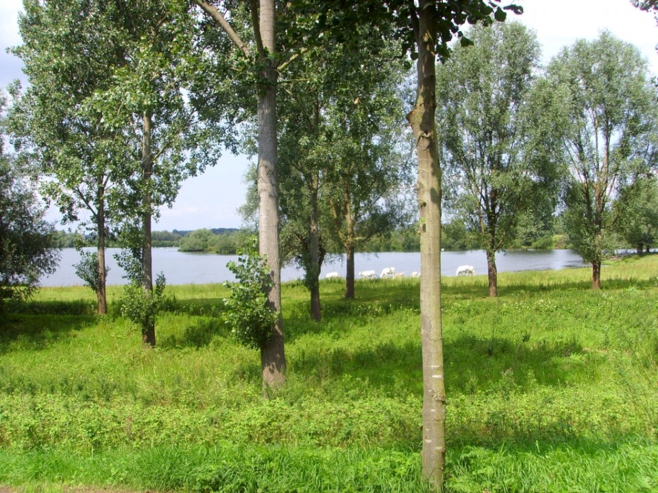 Limburg-culinaire-fietsvakantie-maas-fenzopreis