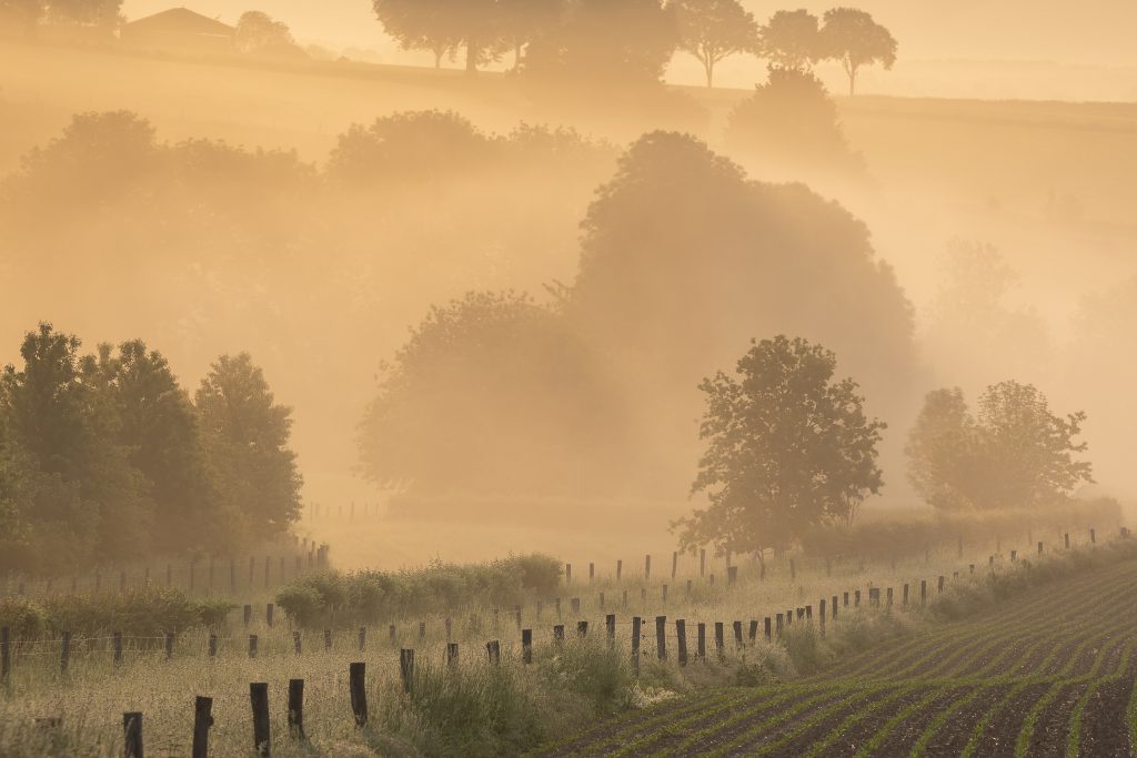 beautiful misty sunrise on belgian farmland