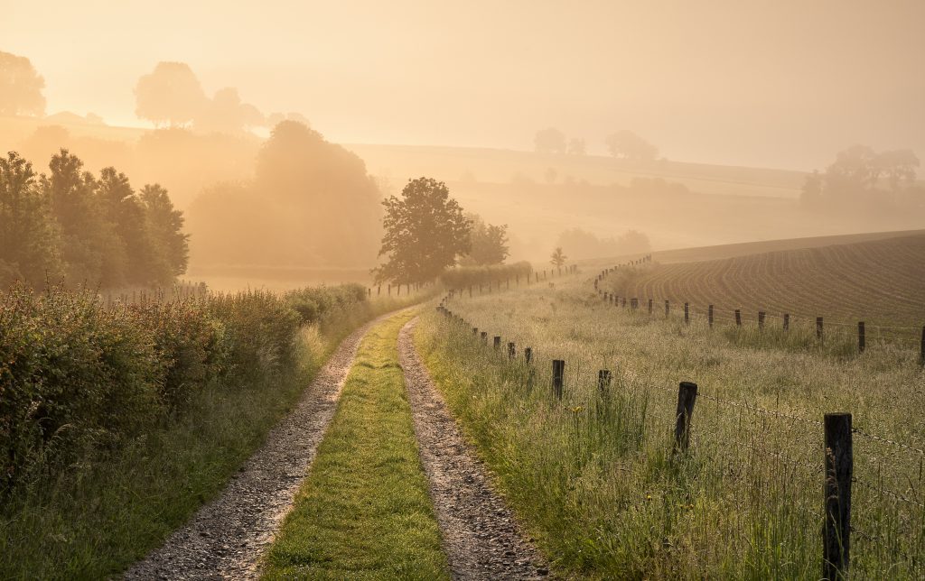 countryside road on Belgian farmland at sunrise