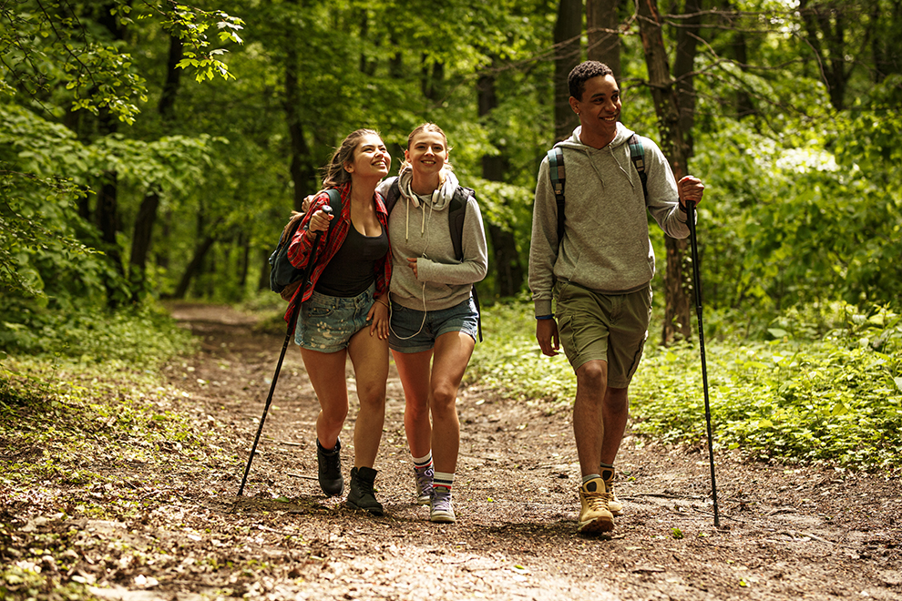 groepsreis wandelvakantie teutoburgerwoud