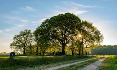 fietsvakantie_drenthe