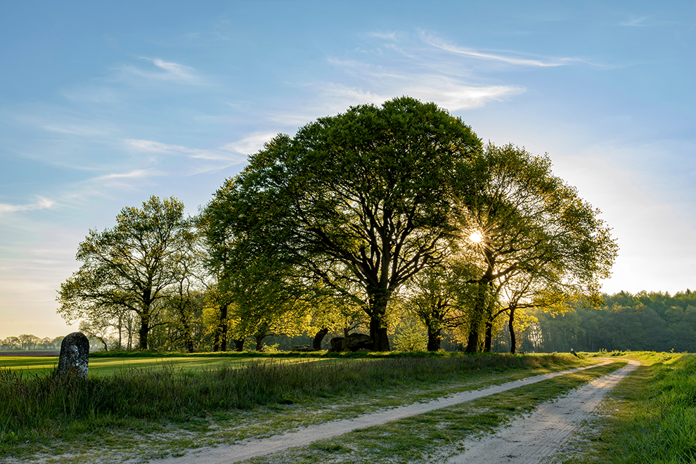 fietsvakantie_drenthe