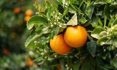 fietsvakantie_griekenland