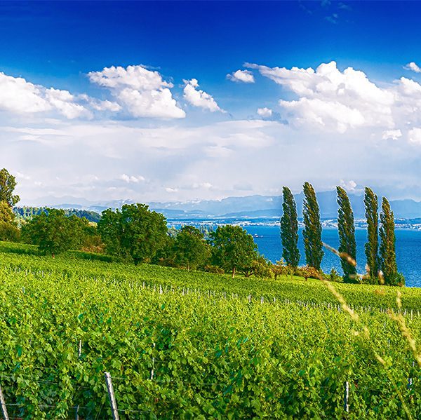 bodensee_fietsvakantie_fenz-op-reis