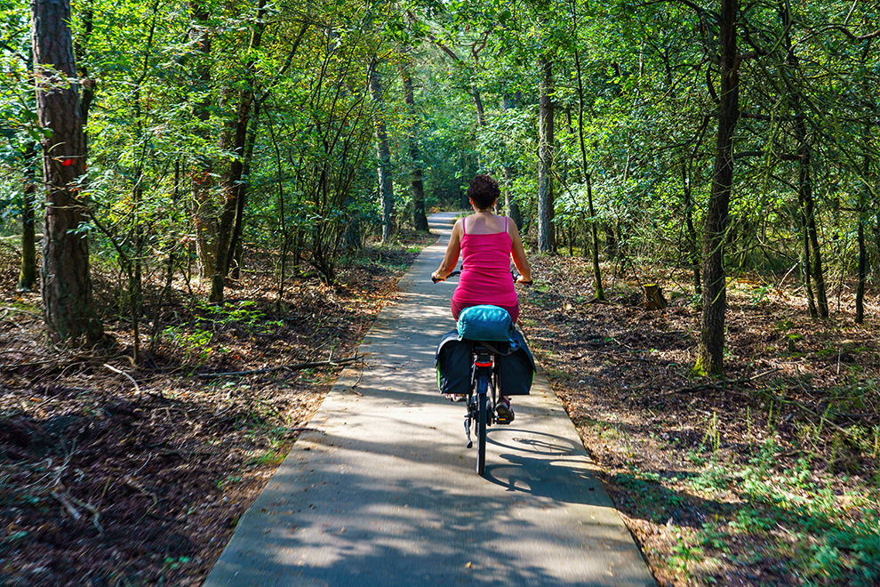 Woman cycling through the forest on a summer morning