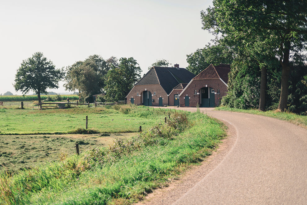 Rural road along old dutch farmhouse in summer.