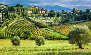 fietsvakantie toscane
