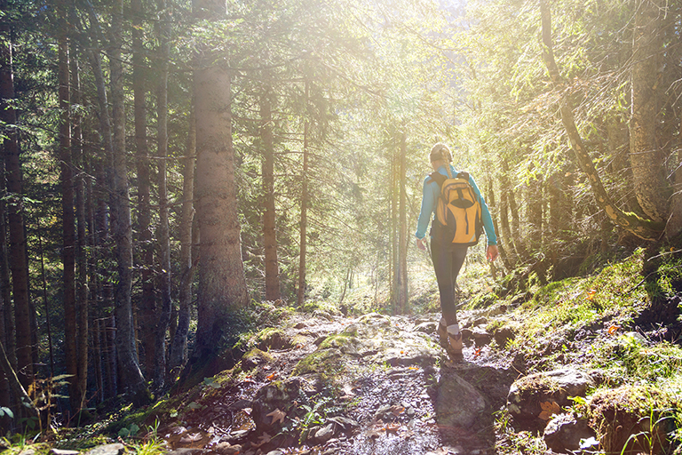 Woman hiking in the forest