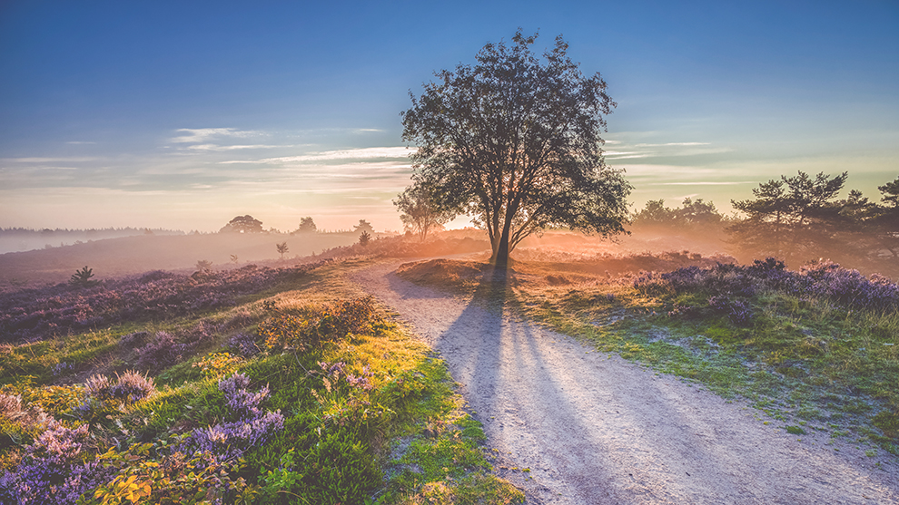 ©www.fotografiecor.nl