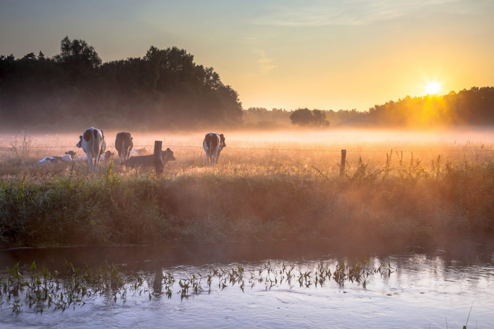 ochtendgloren-fenzopreis-twente990x660