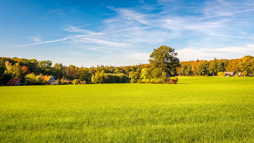 View of green fields, farms and dense forests located at the Tan