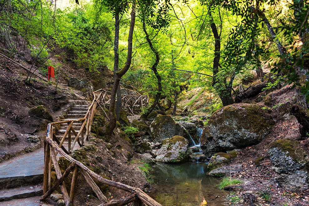 Walk among sweetgum trees in Butterfly valley (Rhodes, Greece)