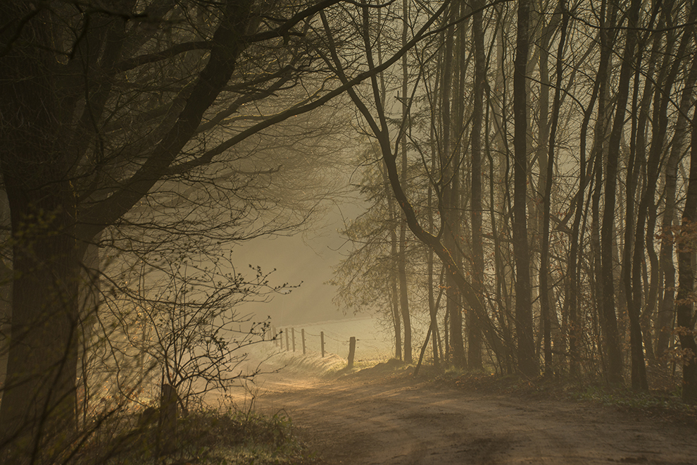 Ochtenzon op de Veluwe 1