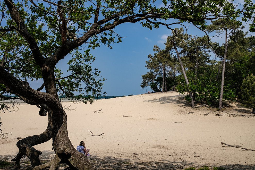 Nationaal Park De Loonse en Drunense Duinen, Noord-Brabant Provi