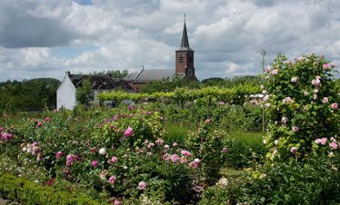 fietsreis haspengouw