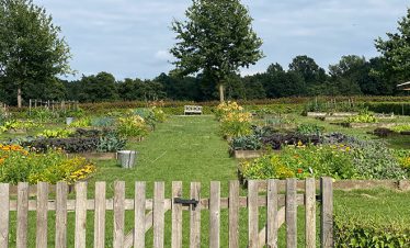 haspengouw-fietsvakantie