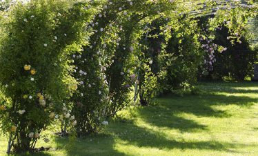 haspengouw-fietsvakantie